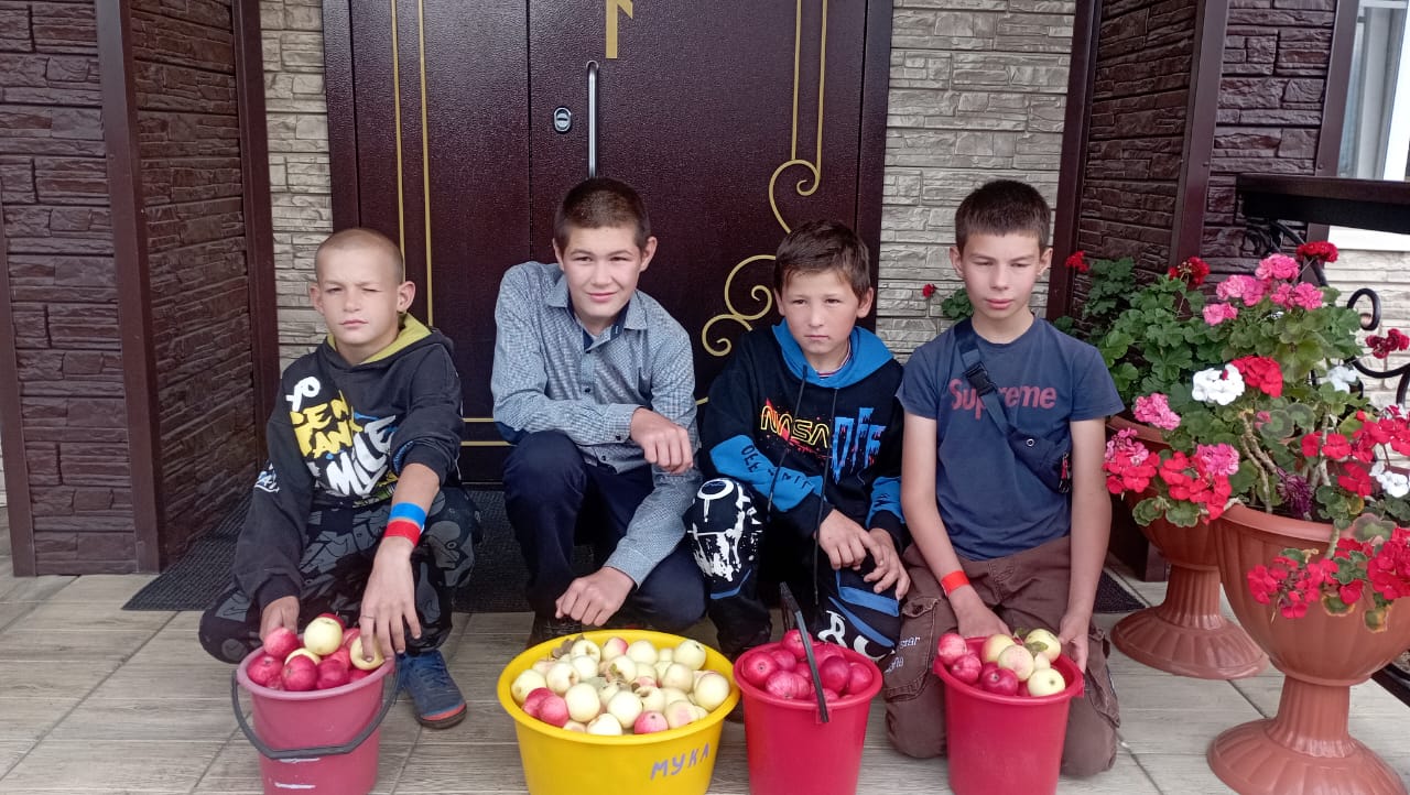 Клуб «Волонтерики».